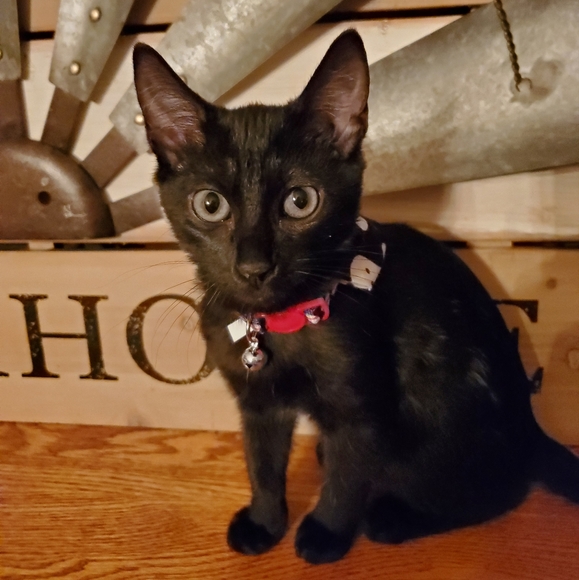 Bundle & Save.. - Picture 6 of 15